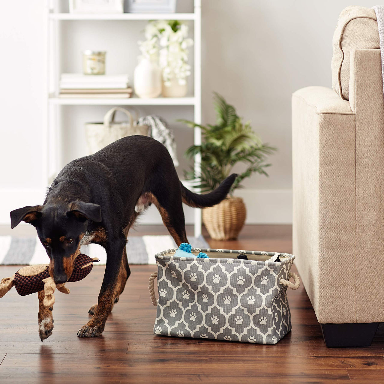 Bone Dry Pet Storage Collection Lattice Paw Print, Small Rectangle, Gray