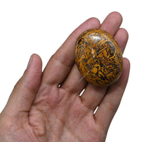 Mariyam Jasper Palm Stone - Hot Massage Worry Stone for Natural Body Chakra Balancing, Reiki Healing and Crystal Grid Mariyam Jasper