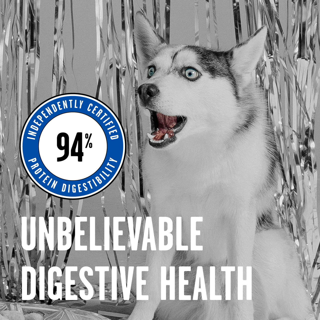 BIXBI Rawbble Freeze Dried Dog Food, Turkey Recipe, 26 oz - 96% Meat and Organs, No Fillers - Pantry-Friendly Raw Dog Food for Meal, Treat or Food Topper - USA Made in Small Batches