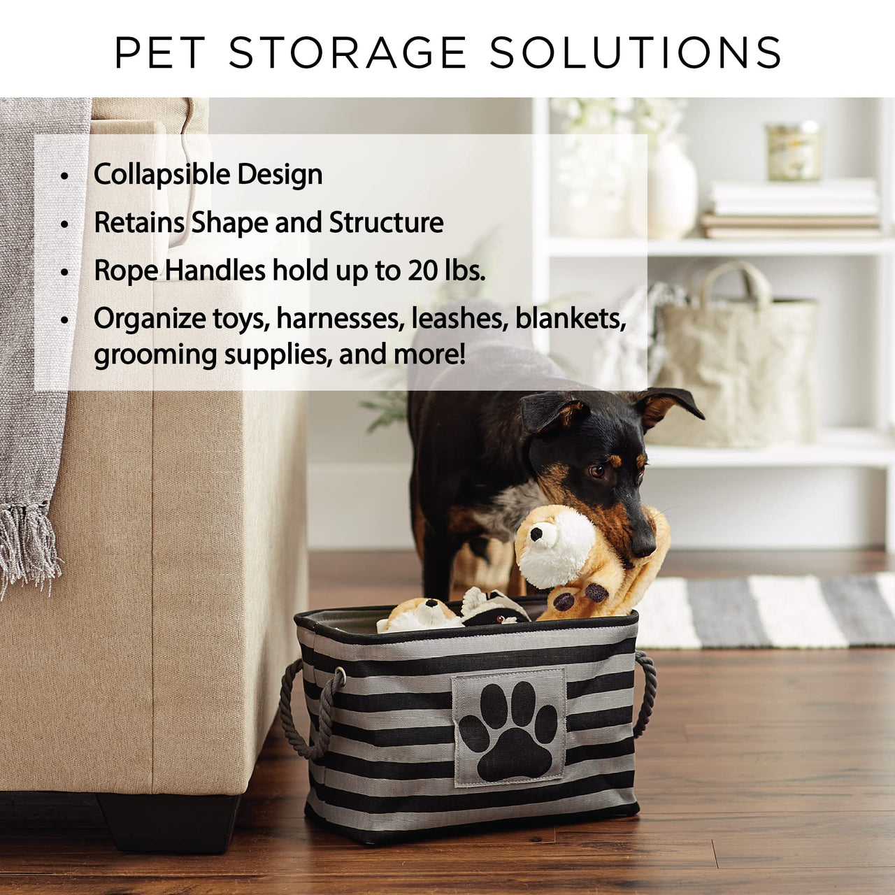 Bone Dry Pet Storage Collection Paw and Bone Print, Large Rectangle, 17.5x12x15", Rose