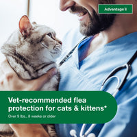 Advantage II Large Cat Vet-Recommended Flea Treatment & Prevention | Cats Over 9 lbs. | 2-Month Supply 2-Pack Large Cat only