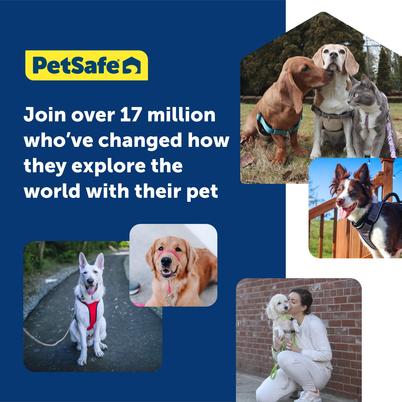 PetSafe Gentle Leader No-Pull Dog Headcollar - The Ultimate Solution to Pulling - Redirects Your Dog's  Pulling For Easier Walks - Helps You Regain Control - X-Large, Black