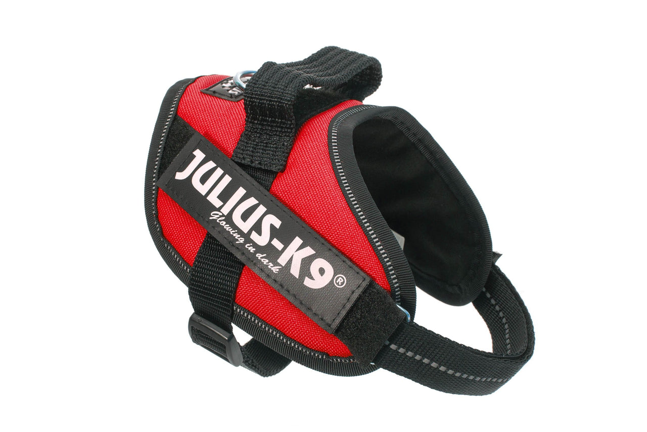 IDC Powerharness, Size: XS/Mini-Mini, Red