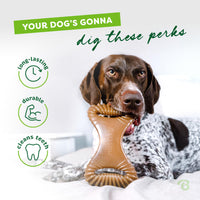 Benebone Dental Durable Dog Chew Toy for Aggressive Chewers, Real Bacon, Made in USA, Small