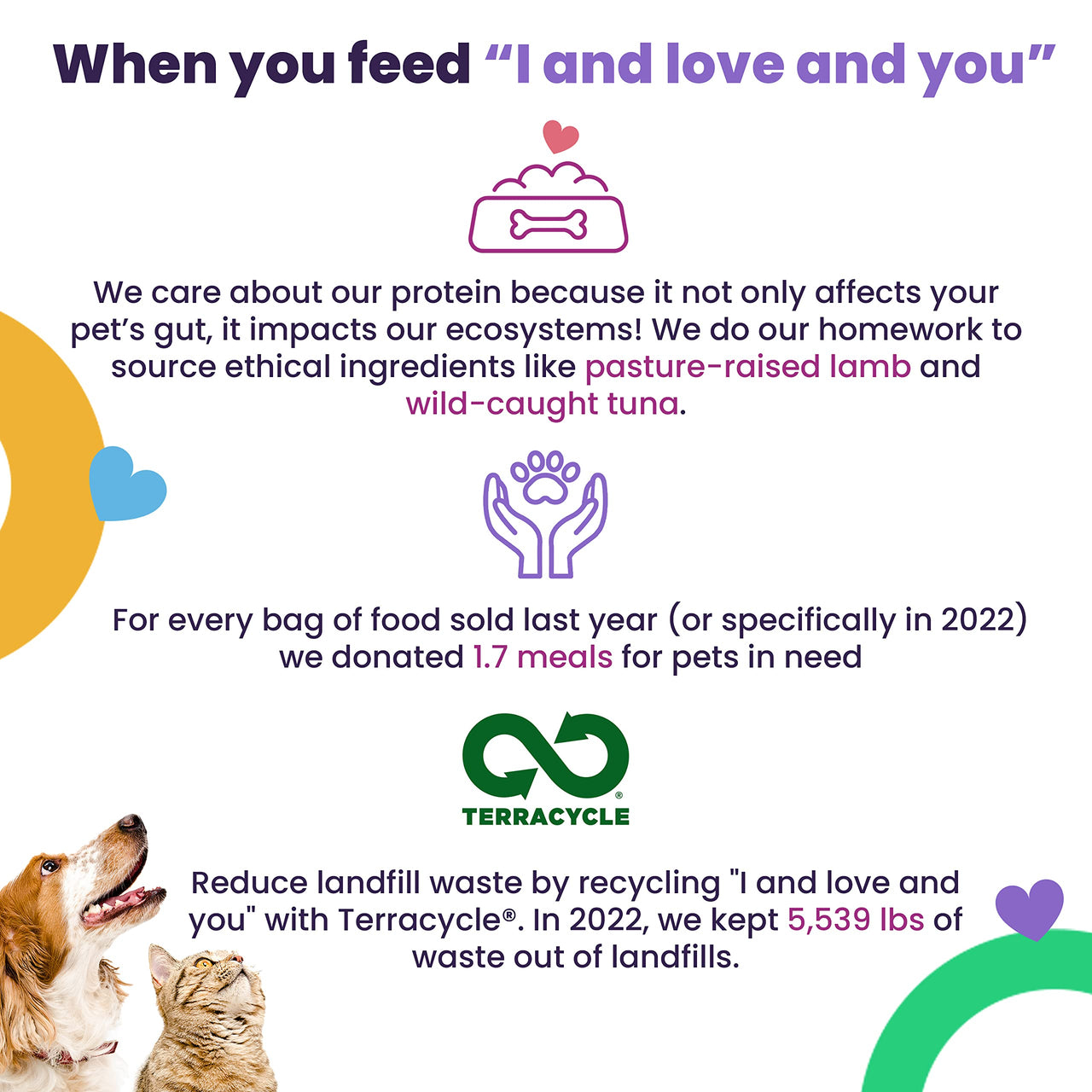 "I and love and you" Ear Candy Cow Ear Strips - Grain Free Dog Chews, 100% Beef Cow Ears, 2.5-Ounce