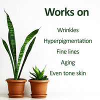 Deve Herbes Plant Based Retinol Face Serum with Linseed & Cotton Seed Oil for Personal Care 30ml with Free Pure Vitamin E Oil 10ml
