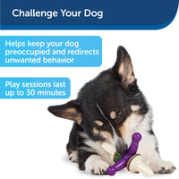 PetSafe Busy Buddy Jack Medium Purple