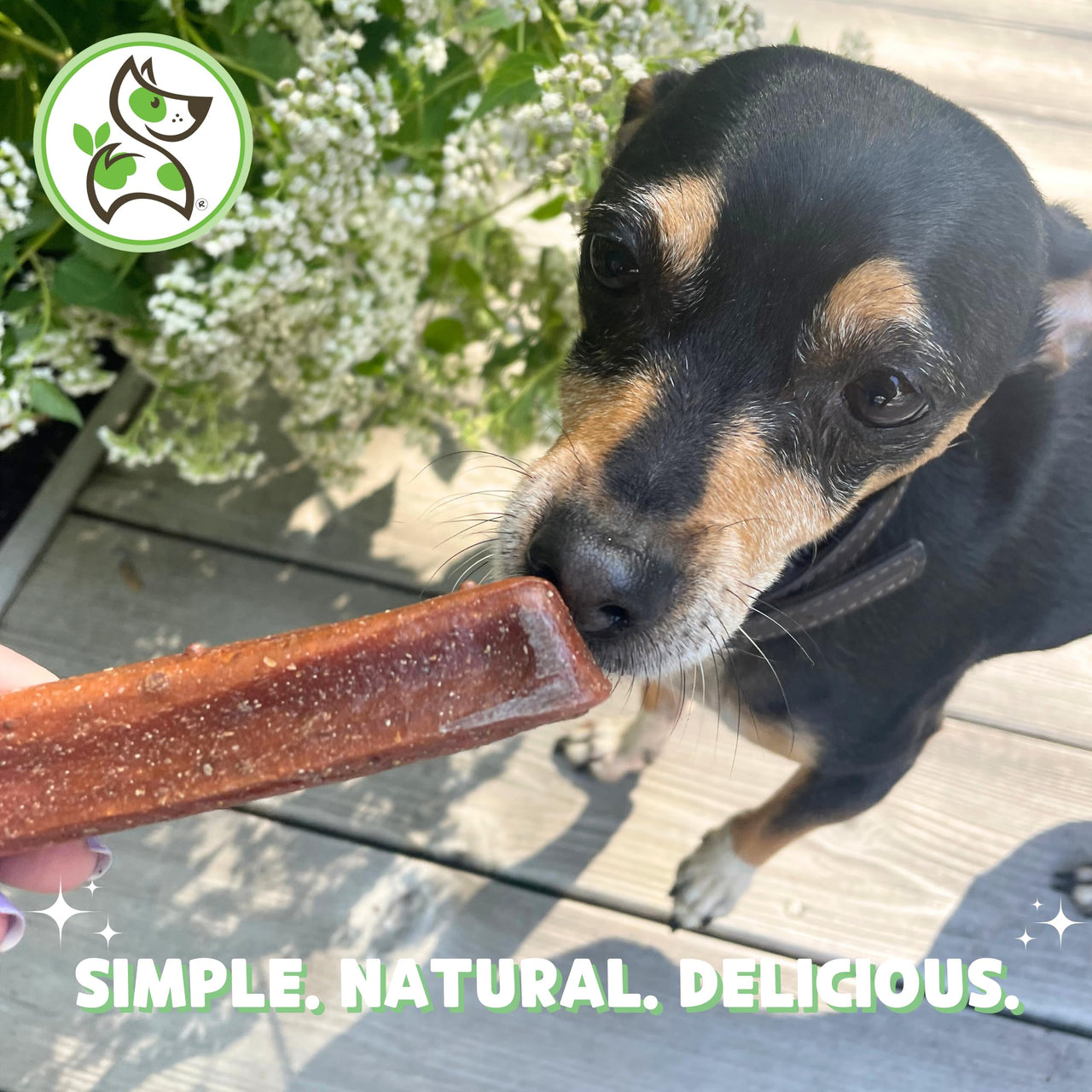 Nature Gnaws Cheese Bar Chews for Dogs – Natural Lasting Hard Chew Treats - Rawhide Free Dog Bones - Yak Alternative 4 Count Chicken & Apple