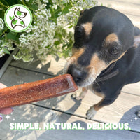 Nature Gnaws Cheese Bar Chews for Dogs – Natural Lasting Hard Chew Treats - Rawhide Free Dog Bones - Yak Alternative 4 Count Chicken & Apple