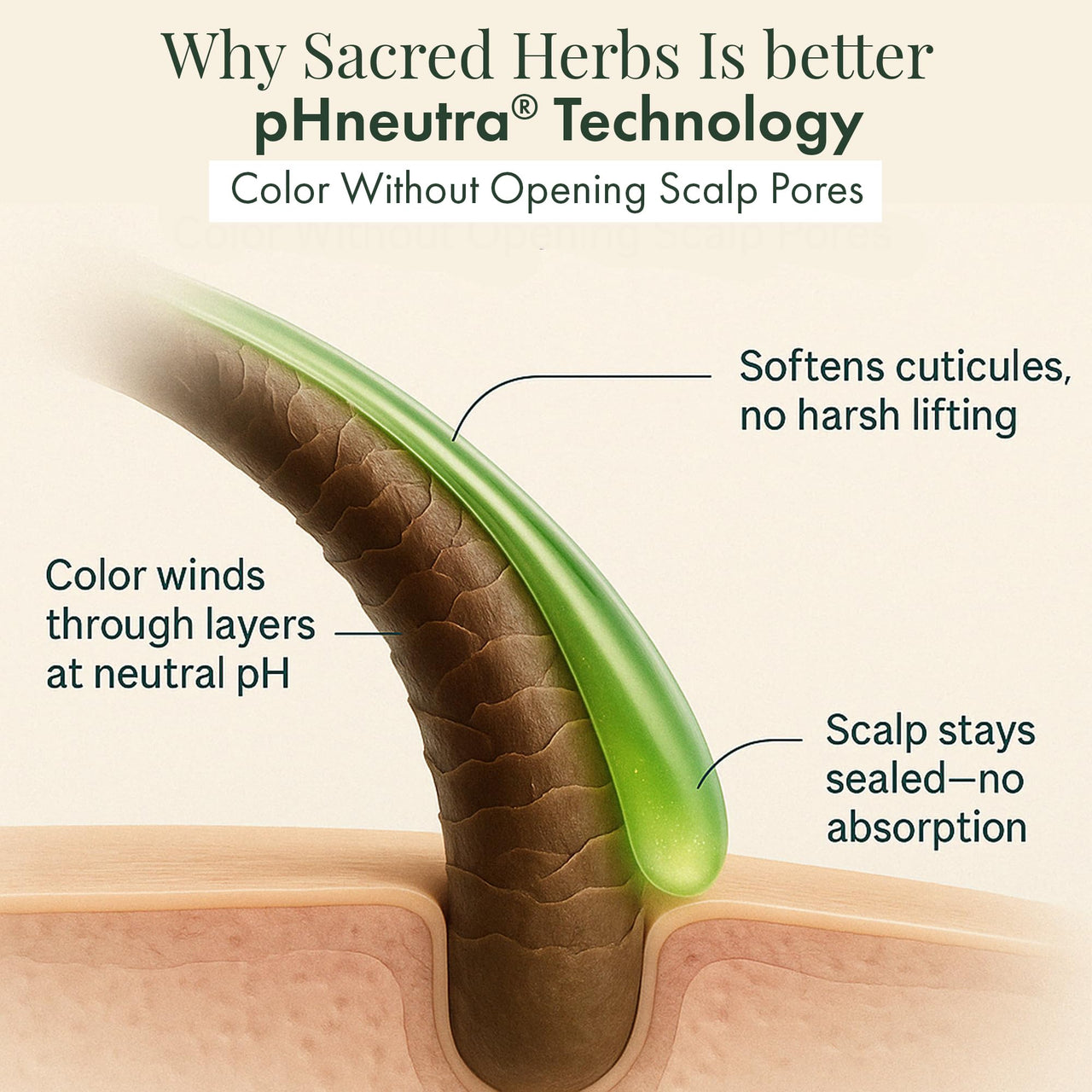 SACRED HERBS Ammonia & PPD Free Organic Gel Hair Color | pH Neutral | Long Lasting Colour with 100% Grey Coverage | Conditioning & Damage Free Natural Hair Coloring for Men & Women Burgundy 3.60 - 240ml+20gm