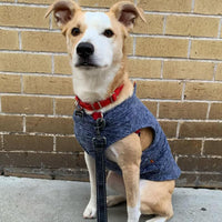 Gooby Zip Up Fleece Dog Sweater - Gray Wash, 3X-Large - Warm Pullover Fleece Step-in Dog Jacket Without Ring Leash - Winter Small Dog Sweater - Dog Clothes for Small Dogs Boy and Medium Dogs 3X-Large chest (~28.5