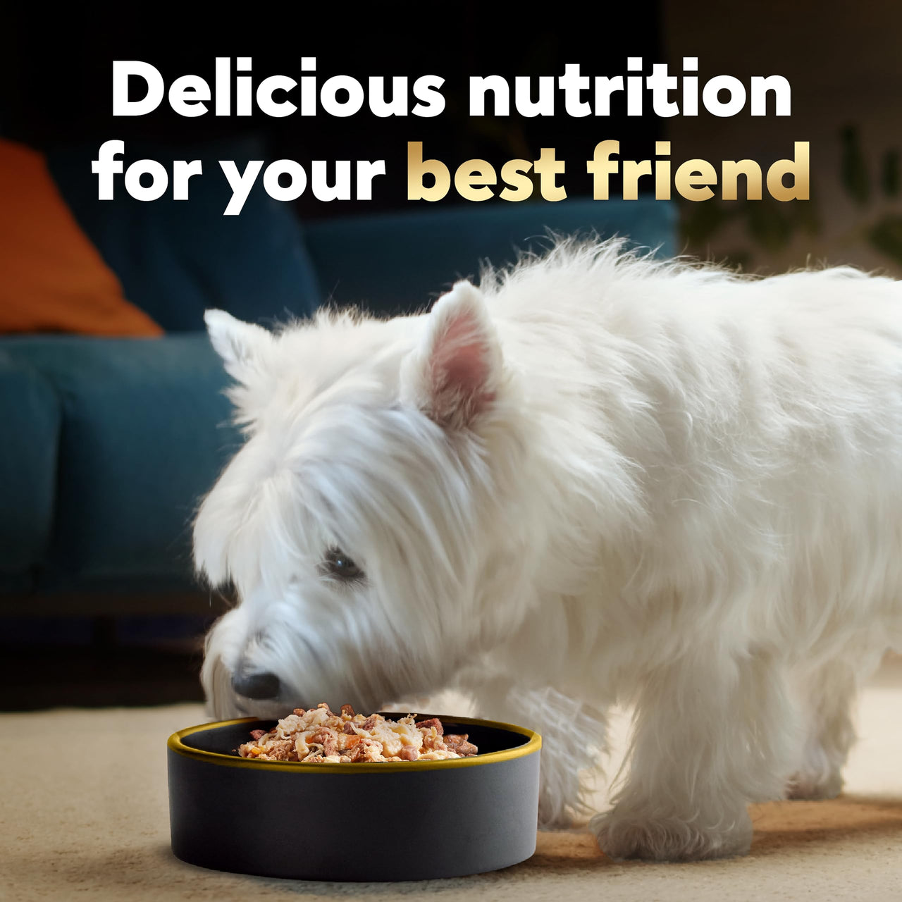 CESAR WHOLESOME BOWLS Adult Soft Wet Dog Food, Chicken, Carrots, Barley & Green Beans Recipe and Beef, Chicken, Purple Potatoes & Carrots Recipe Variety Pack, 3oz., Pack of 6