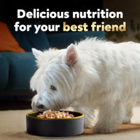 CESAR WHOLESOME BOWLS Adult Soft Wet Dog Food, Chicken, Carrots, Barley & Green Beans Recipe and Beef, Chicken, Purple Potatoes & Carrots Recipe Variety Pack, 3oz., Pack of 6