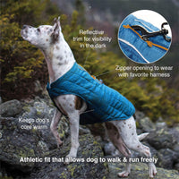 Kurgo Loft Dog Jacket, Reversible Dog Coat, Wear with Harness or Sweater, Water Resistant, Reflective, Winter Coat For Large Dogs (Fall Festival, L) Fall Festival
