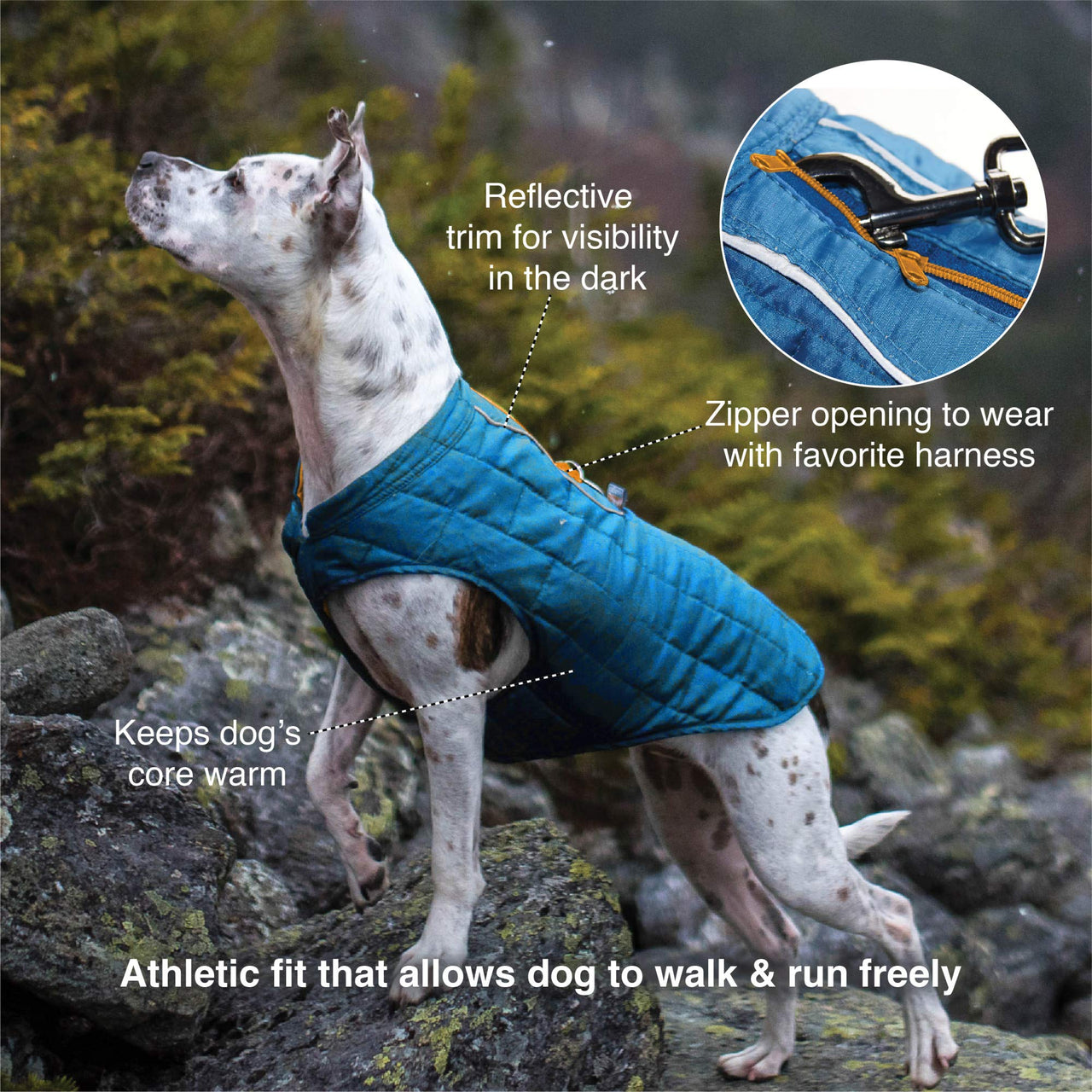 Kurgo Loft Dog Jacket, Reversible Dog Coat, Wear with Harness or Sweater, Water Resistant, Reflective, Winter Coat For Large Dogs (Fall Festival, XL) Extra Large Fall Festival