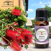 All Naturals Niaouli Essential Oil 100% Pure for Congestion, Colds, Steam, Acne, Clear Breathing (More effective than Eucalyptus) - 15 mL