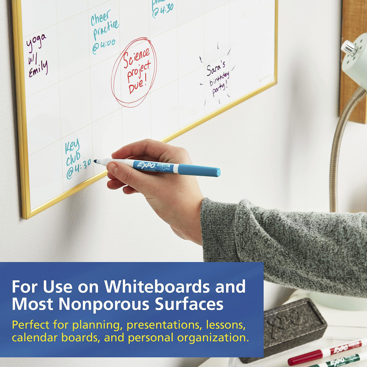 EXPO Low Odor Dry Erase Markers, Fine Tip, Assorted Colors, 12 Count 12 Count Assorted