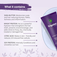 Trigaine pH Balanced Shampoo 100ml | Best Daily Shampoo For Heat Treated & Color Damaged Hair | Protein Intensive Dermatologist-Recommended Everyday Use for Women & Men