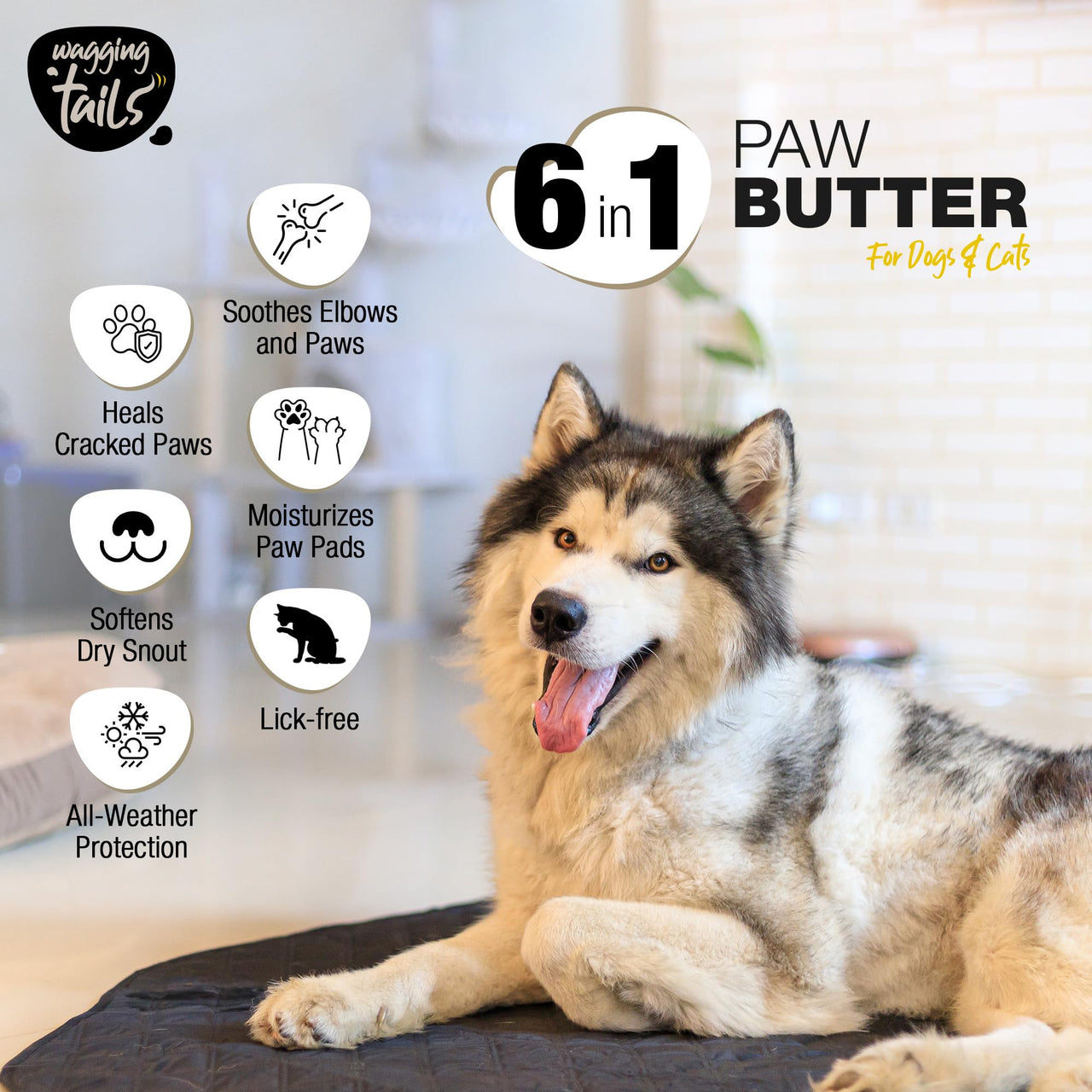 Wagging Tails Paw Butter for Dogs & Cats | Moisturizes, Heals & Repairs Dry & Cracked Paws, Elbows & Itchy Nose | Lick Safe Paw Balm (50 g) (Pack of 1)