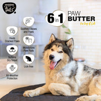 Wagging Tails Paw Butter for Dogs & Cats | Moisturizes, Heals & Repairs Dry & Cracked Paws, Elbows & Itchy Nose | Lick Safe Paw Balm (50 g) (Pack of 1)