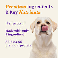 Halo Raw Freeze Dried Dog Treats, Chicken Hearts Recipe, Dog Treats Pouch, All Life Stages, 2-OZ Pouch 2 Ounce (Pack of 1)