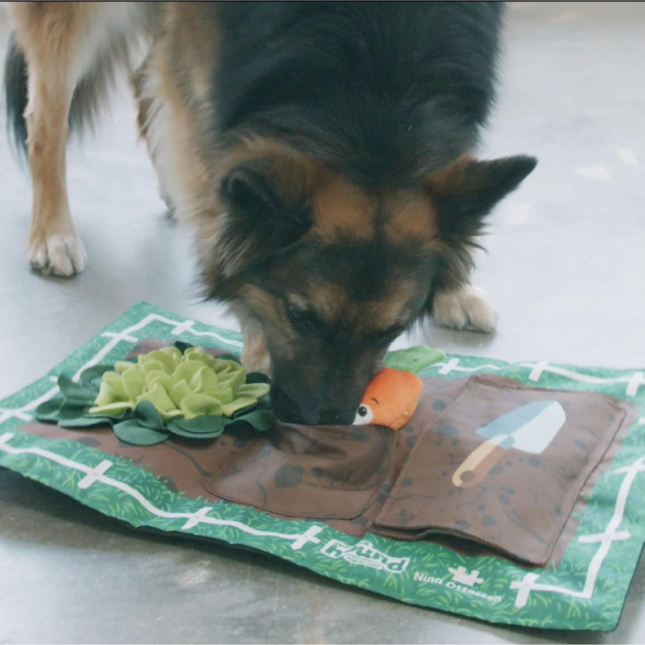 Outward Hound Nina Ottosson Activity Matz Garden Game Plush Dog Puzzle Mat Dog Enrichment Dog Toy, Level 2 Intermediate, Multicolored Level 2 (Intermediate) Level 2 (Intermediate)