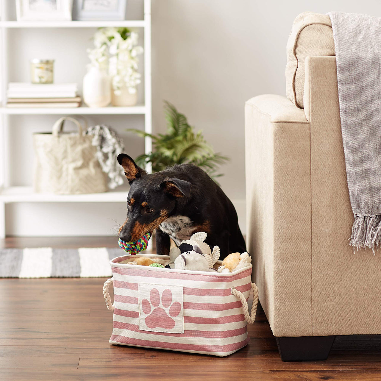Bone Dry Pet Storage Collection Striped Paw Patch Bin, Small Rectangle, Rose