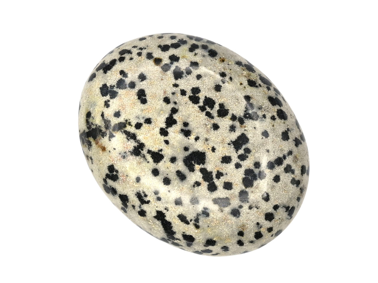 Dalmatian Jasper Palm Stone - Hot Massage Worry Stone for Natural Body Chakra Balancing, Reiki Healing and Crystal Grid Dalmatian Jasper