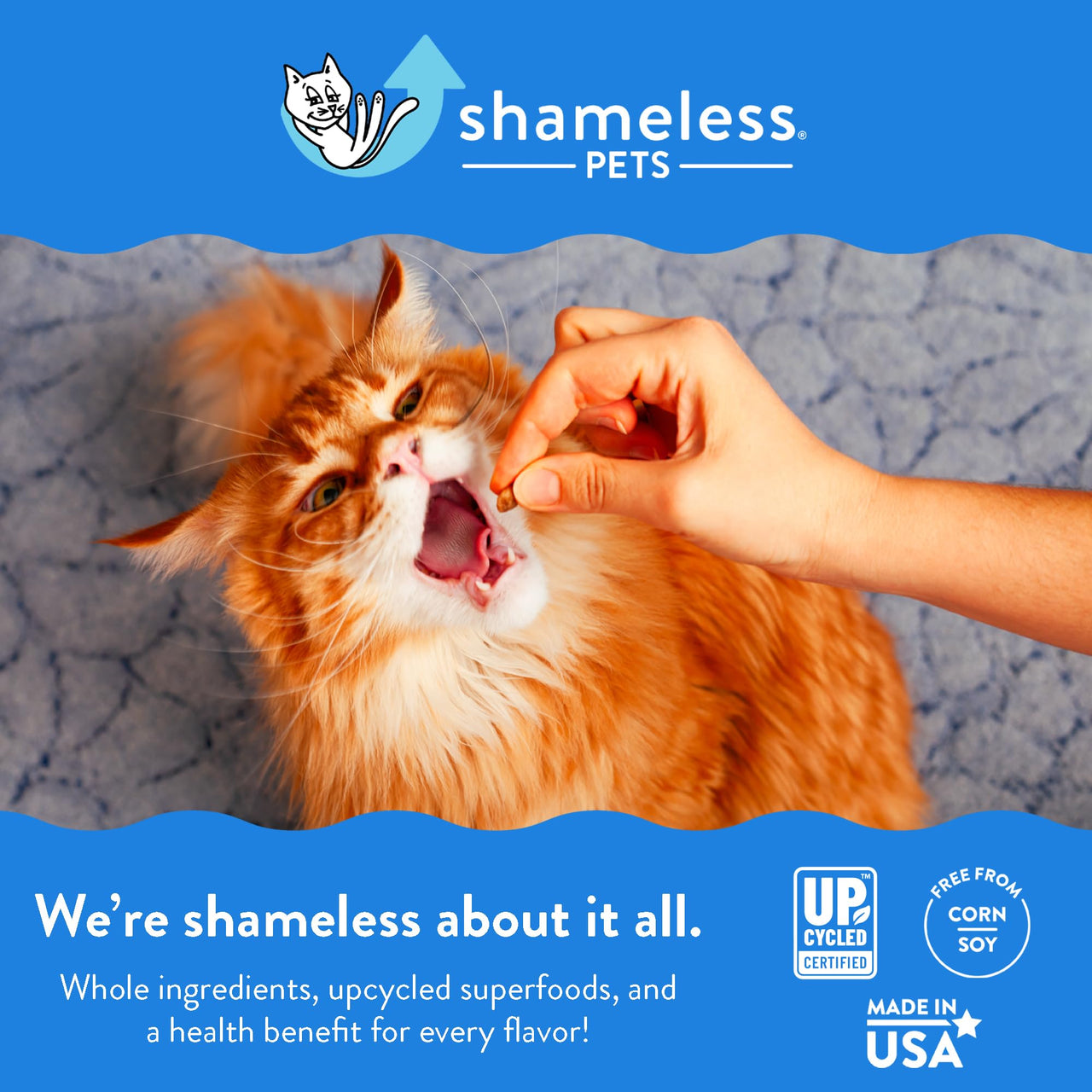 Shameless Pets Crunchy Cat Treats - Kitty Treats for Cats with Digestive Support, Natural Ingredients Kitten Treats with Real Ingredients, Healthy Flavored Feline Snacks - Variety Pack, 3-Pk Variety Pack - 3 Count 2.5 Ounce (Pack of 3)