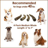 Elk Antler Chews for Dogs | Naturally Shed USA Collected Elk Antlers | All Natural A-Grade Premium Elk Antler Dog Chews | Product of USA, 4-Pack Medium Whole Medium (Pack of 4)