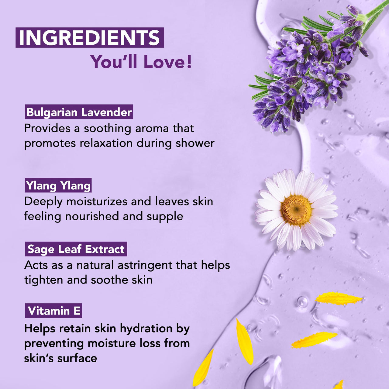 Botanic Hearth Bulgarian Lavender Body Wash with Ylang Ylang, Vitamin E & Sage Leaf | Calming Body Wash Shower Gel for Women and Men | Sulphate & Paraben Free | 245ml