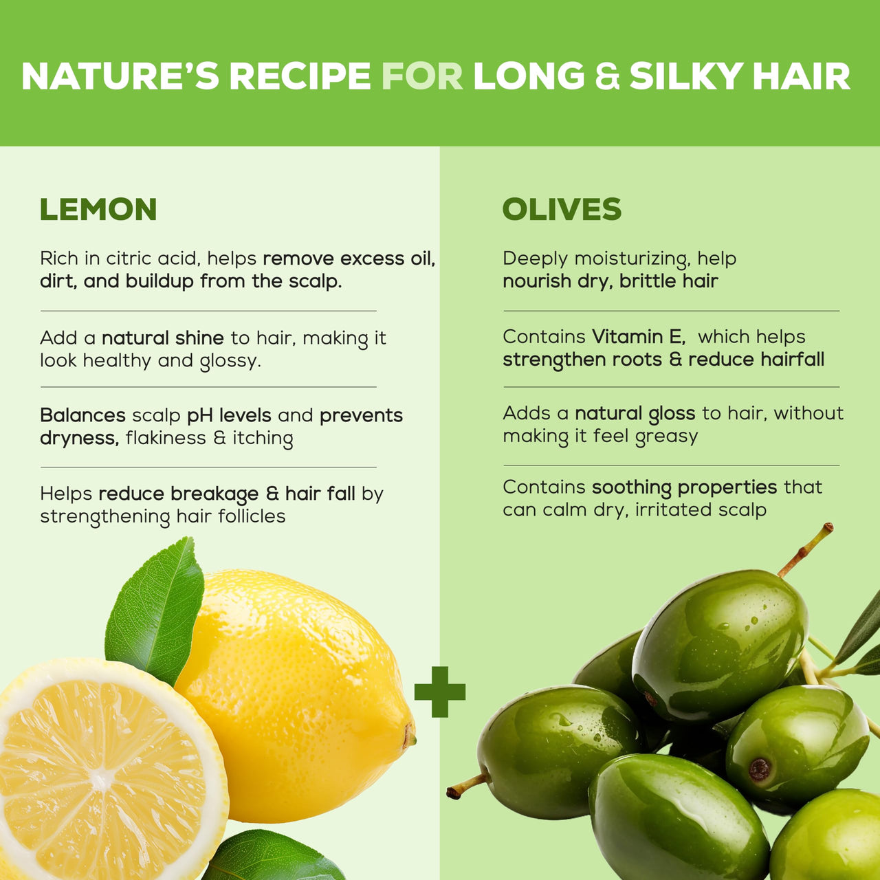 Joy Lemon & Olives Hair Dryness Control Conditioning Shampoo (340ml x 2) | For Dry & Frizzy Hair | Makes Hair Smooth & Shiny | For Men & Women