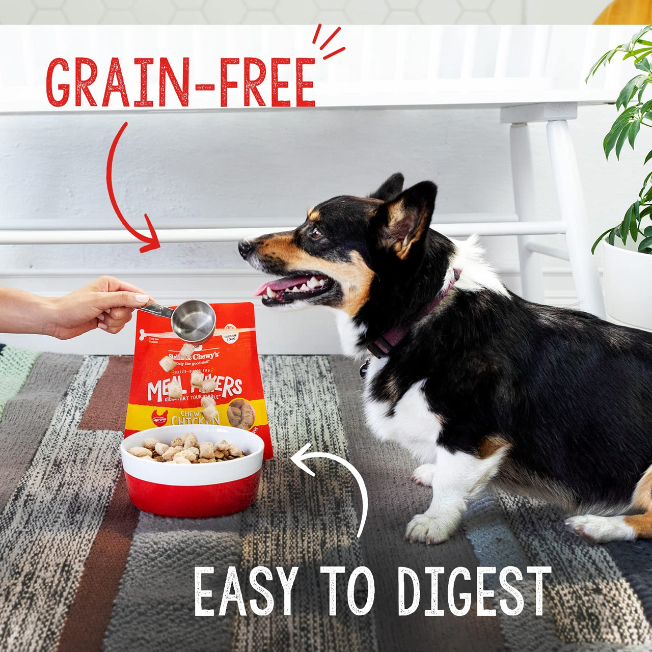 Stella & Chewy's  Freeze Dried Raw Chewy’s Chicken Meal Mixers – Dog Food Topper for Small & Large Breeds – Grain Free, Protein Rich Recipe – 8 oz Bag 8 Ounce (Pack of 1)