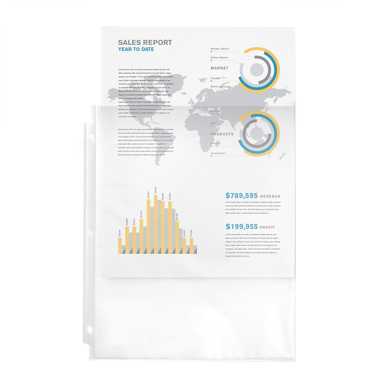 Avery Clear Economy Sheet Protectors, Top Load, 100 Document Protectors (75091) 100 Pack