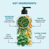 Botanic Hearth Volume & Growth Shampoo with Biotin & Ylang Ylang Oil | Thickens & Strengthens Hair | Hydrating & Fortifying Formula with Cica & Rosemary Water| Sulfate & Paraben Free, 473ml