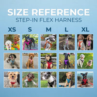 Best Pet Supplies Voyager Adjustable Dog Harness with Reflective Stripes for Walking, Jogging, Heavy-Duty Full Body No Pull Vest with Leash D-Ring, Breathable All-Weather - Harness (Purple), XL Harness (Purple) XL (Chest: 23 - 28