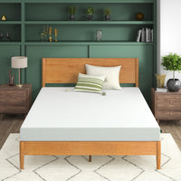 ZINUS 6 Inch Green Tea Memory Foam Mattress [New Version], Queen, Fiberglass free, Medium Firm Feel, Zoned Pressure Relief, Certified Safe Foams & Fabric, Mattress in A Box 6
