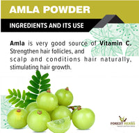 The Forest Herbs Natural Care From Nature Pure Amla Powder For Hair Growth (250 Grams) | Ideal for Hair, Eating, Drinking & Skin
