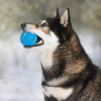 Best Pet Supplies Squeaky Tennis Balls for Dogs, 4-Pack, Heavy-Duty Interactive Pet Toys for Throwing and Fetching, Supports Exercise and Natural Behavior Training, Durable - Large
