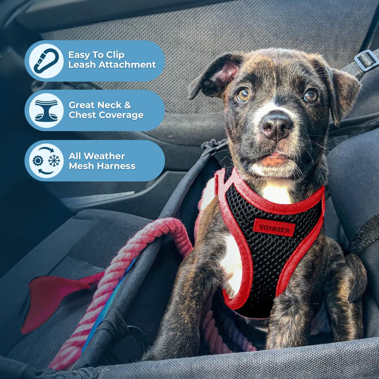 Voyager Step-in Air Dog Harness - All Weather Mesh Step in Vest Harness for Small and Medium Dogs by Best Pet Supplies - Red Trim, M Harness (Black/Red Trim) M (Chest: 16 - 18")