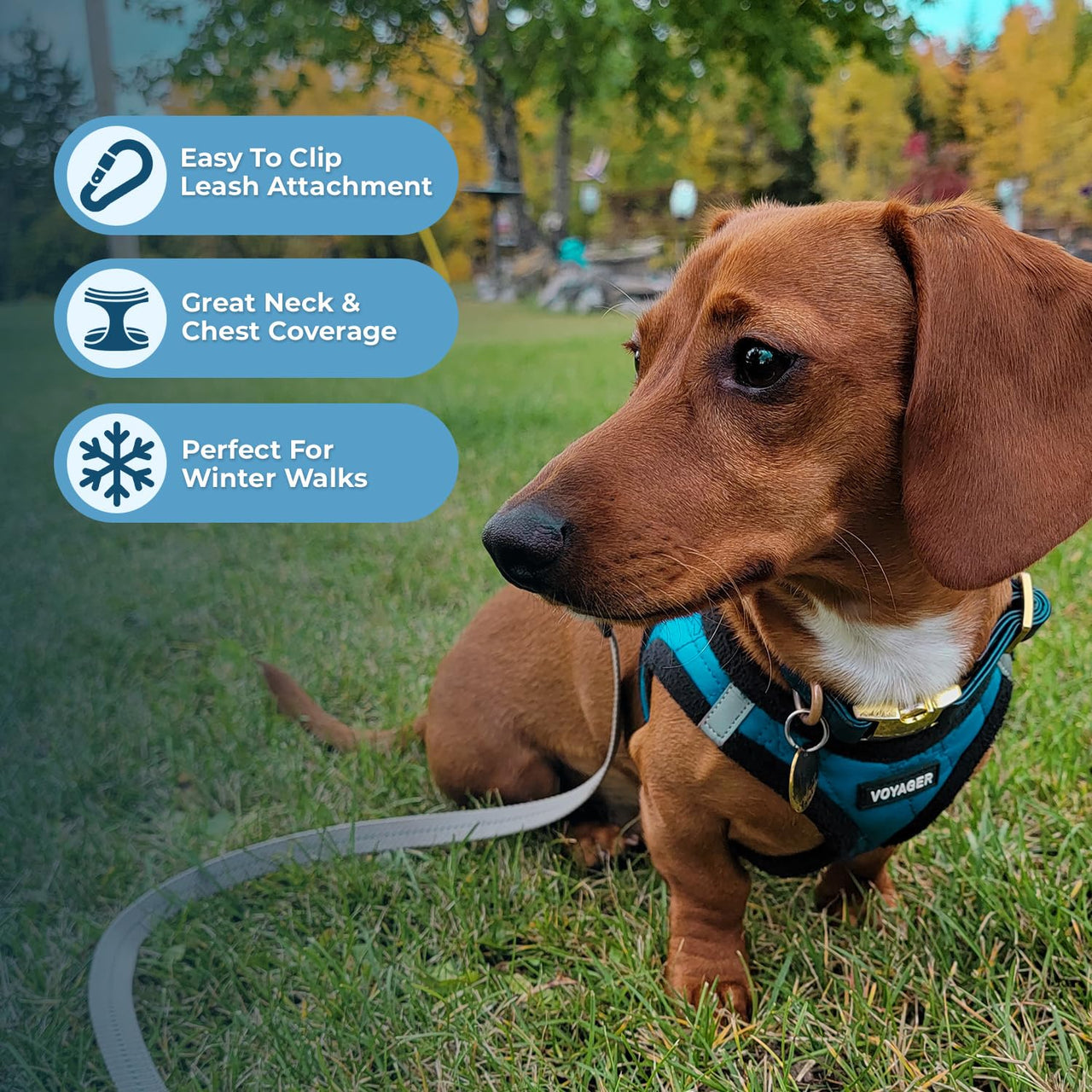Voyager Step-In Plush Dog Harness  Soft Plush, Step In Vest Harness for Small and Medium Dogs by Best Pet Supplies - Harness (Turquoise Plush), L (Chest: 18 - 20.5")