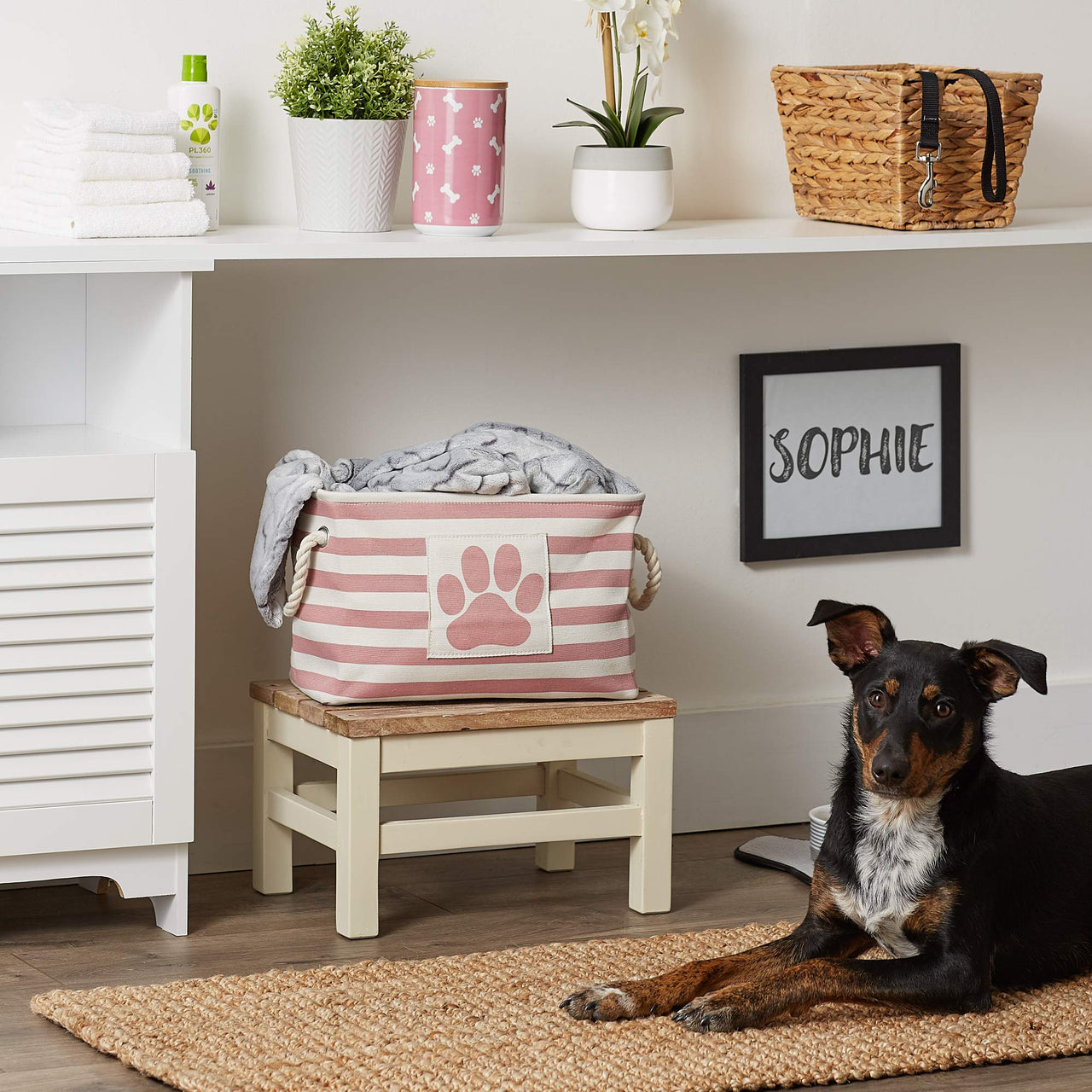 Bone Dry Pet Storage Collection Striped Paw Patch Bin, Small Rectangle, Rose