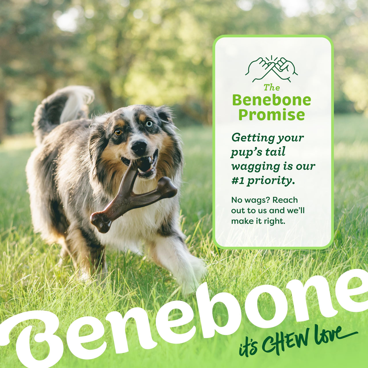 Benebone Wishbone Durable Dog Chew Toy for Aggressive Chewers, Real Chicken, Made in USA, Medium