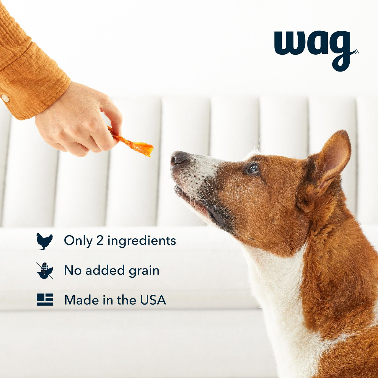 Wag Chewy Whole Muscle American Jerky Dog Treats – Chicken (1 lb), Grain Free