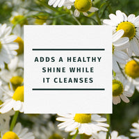 Herbal Essences Shine Shampoo, Chamomile 865ml