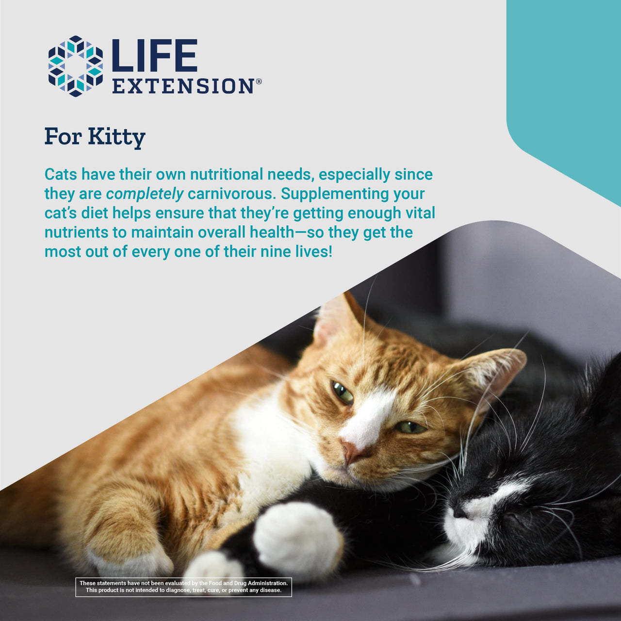Life Extension Cat Mix  For Heart, Kidney & Pancreatic Function + Gut Health with Vitamins & Essential Nutrients - Formula For Kitty - Gluten-Free, Non-GMO  Net Wt.100 Grams (85 Servings)