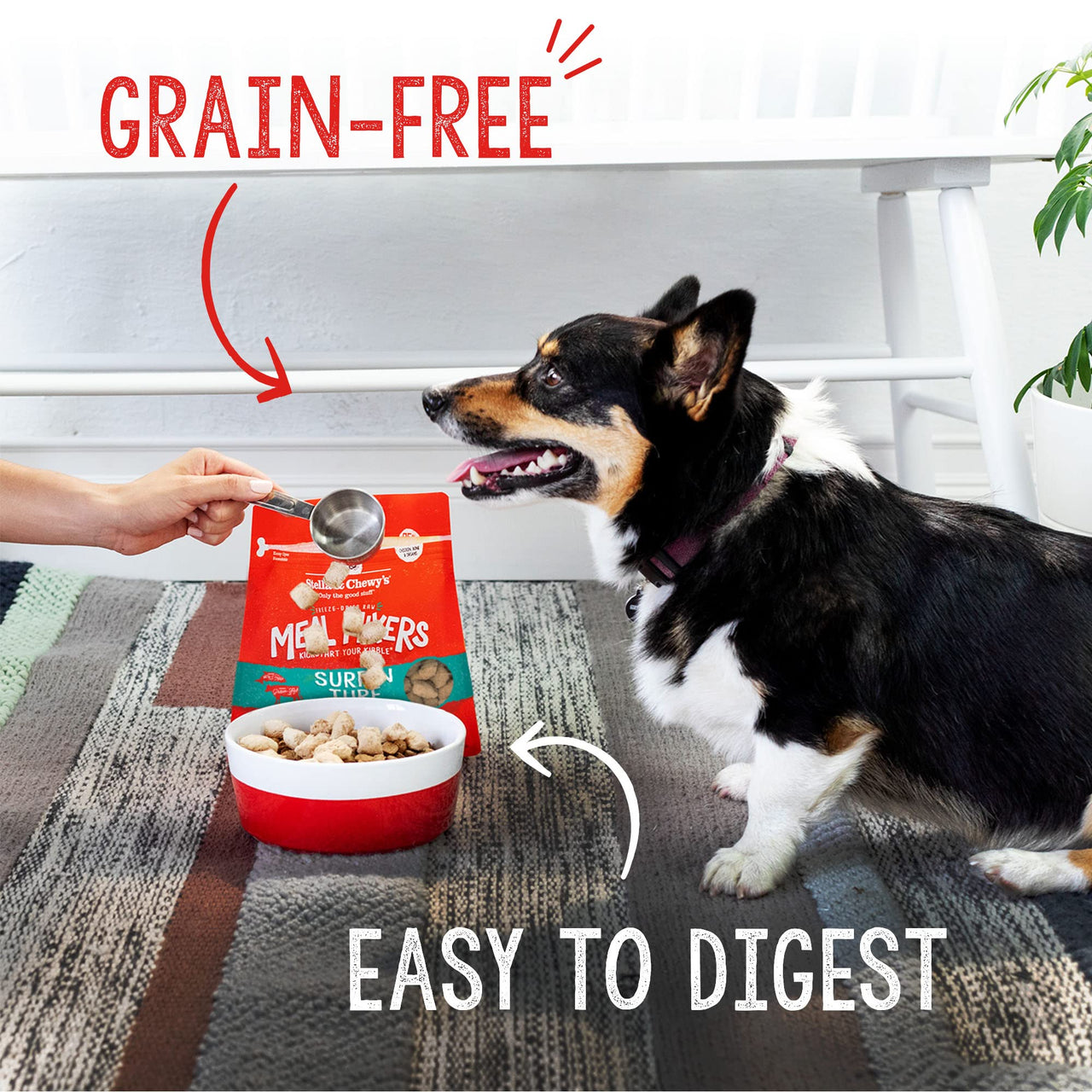 Stella & Chewy's  Freeze Dried Raw Surf & Turf Meal Mixer – Dog Food Topper for Small & Large Breeds – Grain Free, Protein Rich Recipe – 8 oz Bag Salmon & Beef 8 Ounce (Pack of 1)