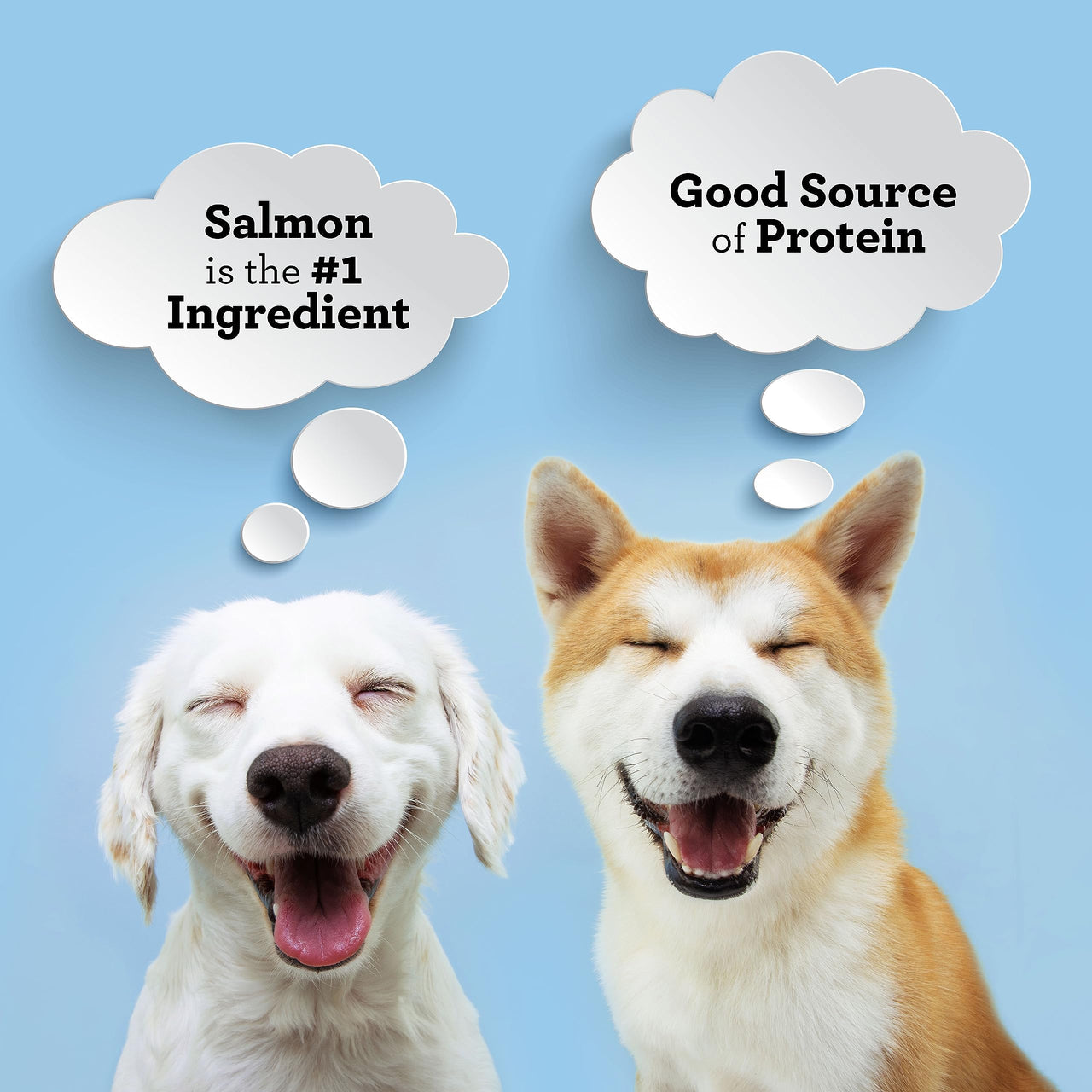 SmartBones Protein Rings with Real Salmon and Chickpeas, 10.5 OZ 10.5 Ounce (Pack of 1)