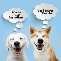 SmartBones Protein Rings with Real Salmon and Chickpeas, 10.5 OZ 10.5 Ounce (Pack of 1)