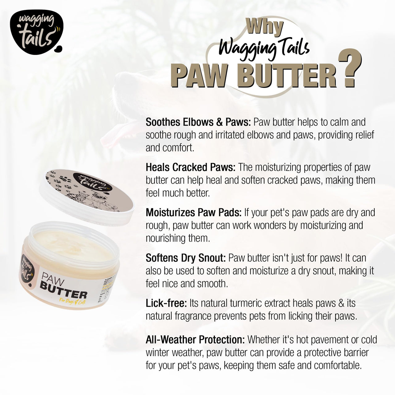 Wagging Tails Paw Butter for Dogs & Cats | Moisturizes, Heals & Repairs Dry & Cracked Paws, Elbows & Itchy Nose | Lick Safe Paw Balm (50 g) (Pack of 1)